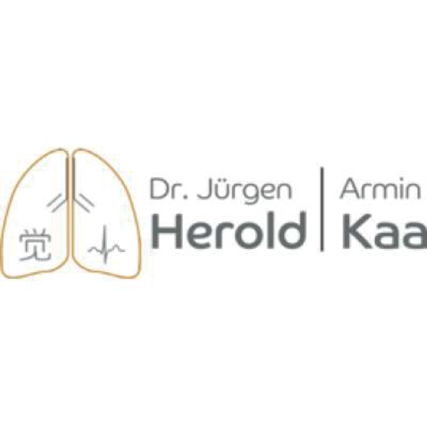 Logo der Firma Pneumologische Privatpraxis und ambulantes Schlaflabor Dr.J.Herold und A.Kaa aus Nürnberg