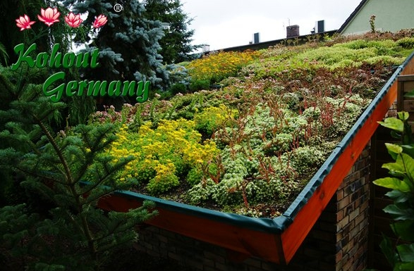 Beispielarbeit von Kohout´s Garten- und Landschaftsbau GmbH - veröffentlicht auf Gartenbau.org