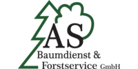 Logo der Firma AS-Baumdienst & Forstservice GmbH aus Lohsa