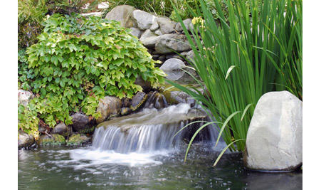 Beispielarbeit von BUSCH FLORA & AQUA - veröffentlicht auf Gartenbau.org