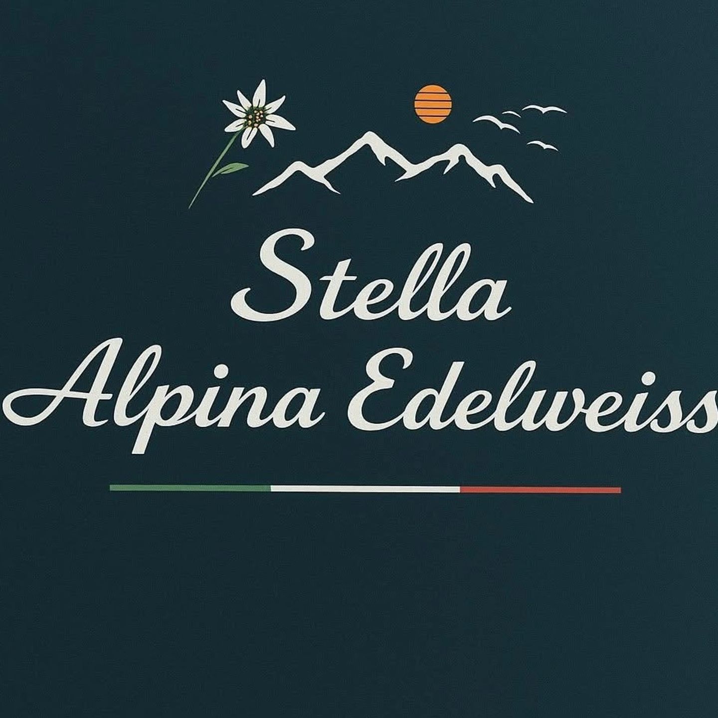 Logo der Firma Pizzeria Stella alpina Edelweiss aus Offenbach am Main