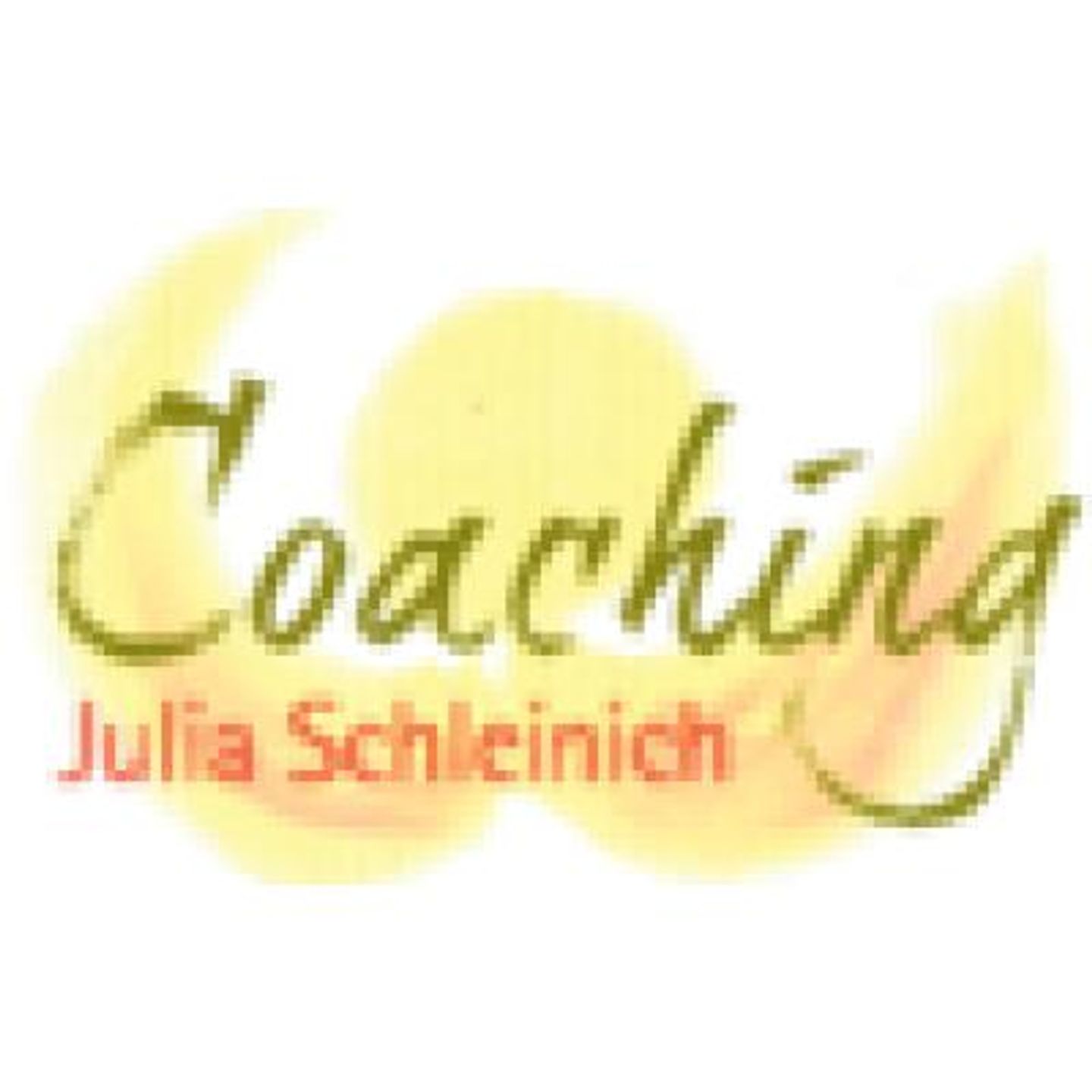Logo der Firma Coaching Julia Schleinich aus Nürnberg