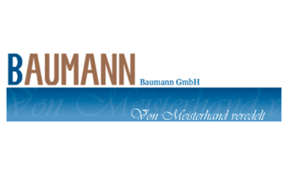 Logo der Firma Baumann GmbH aus Fürth