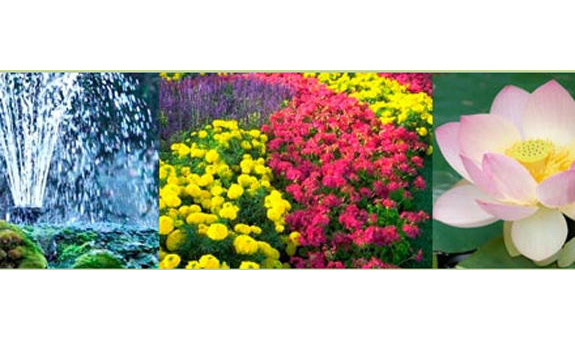 Beispielarbeit von BUSCH FLORA & AQUA - veröffentlicht auf Gartenbau.org