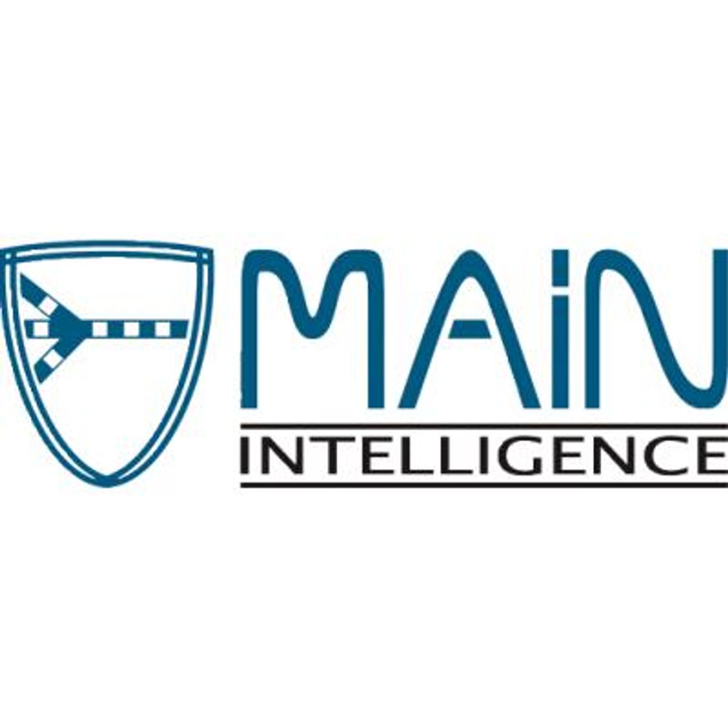 Logo der Firma Main Intelligence GmbH aus Würzburg
