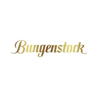 Logo der Firma Juwelier Bungenstock KG aus Celle