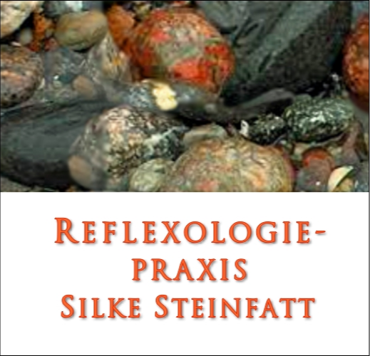 Logo der Firma Reflexologie – Silke Steinfatt aus Radebeul