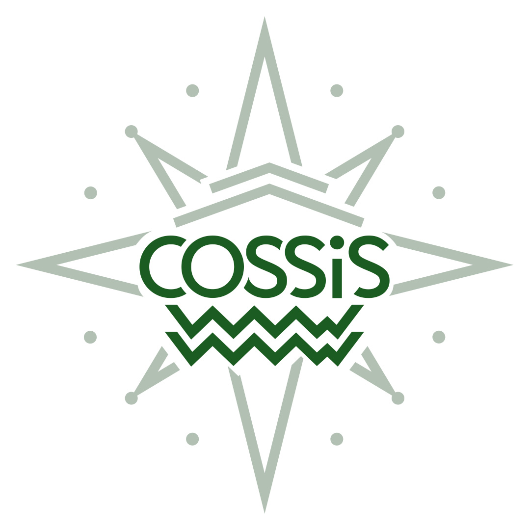Logo der Firma COSSIS aus Markkleeberg