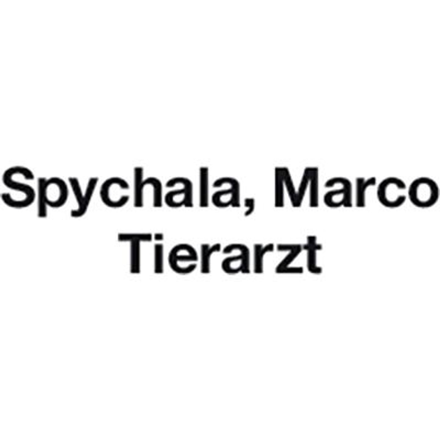Logo der Firma Spychala Marco aus Düsseldorf