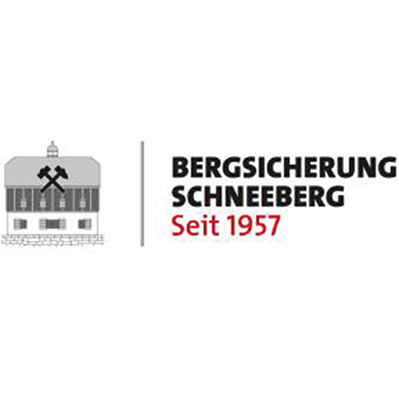 Logo der Firma Bergsicherung Schneeberg GmbH & Co. KG aus Freiberg