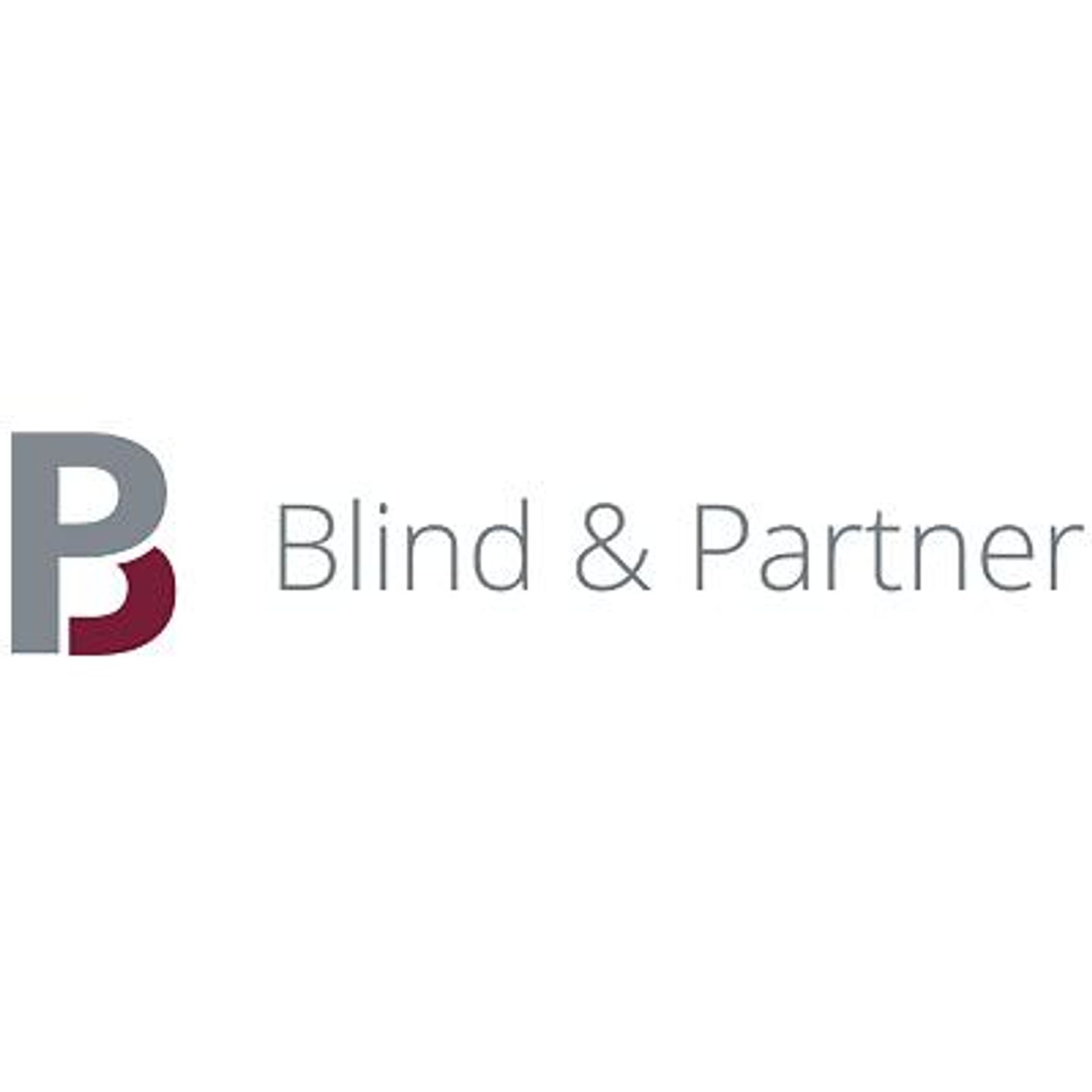 Logo der Firma Blind & Partner mbB aus Stuttgart