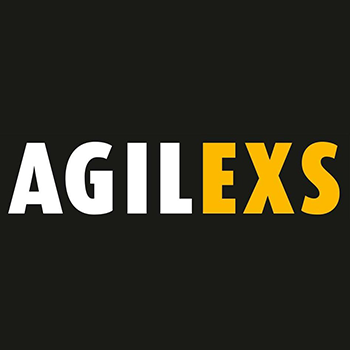 Logo der Firma AGILEXS Agil Express Service GmbH aus Bad Bergzabern