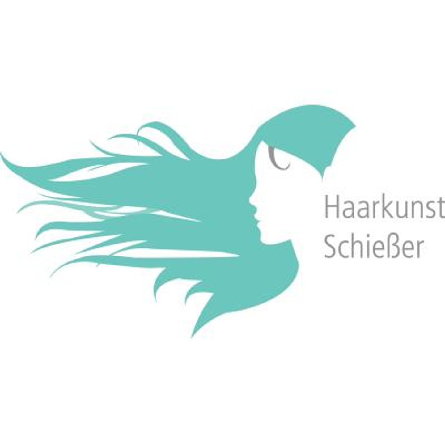 Logo der Firma Constanze Schiesser aus Bad Kissingen