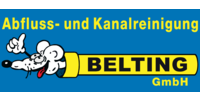 Logo der Firma Belting GmbH aus Bad Kreuznach
