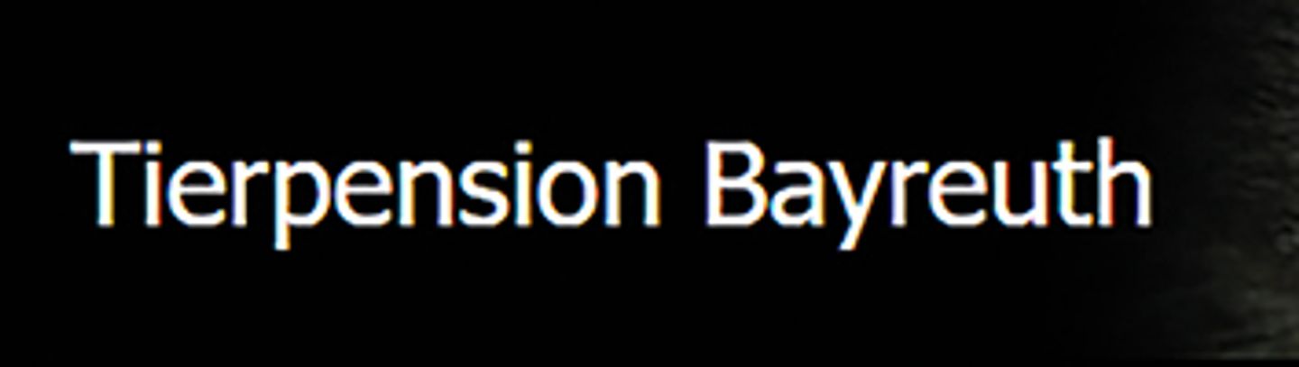 Logo der Firma Gabriele Voit Tierpension aus Bayreuth