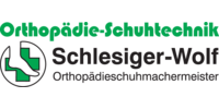 Logo der Firma Orthopädie-Schuhtechnik Schlesiger-Wolf aus Kirchberg