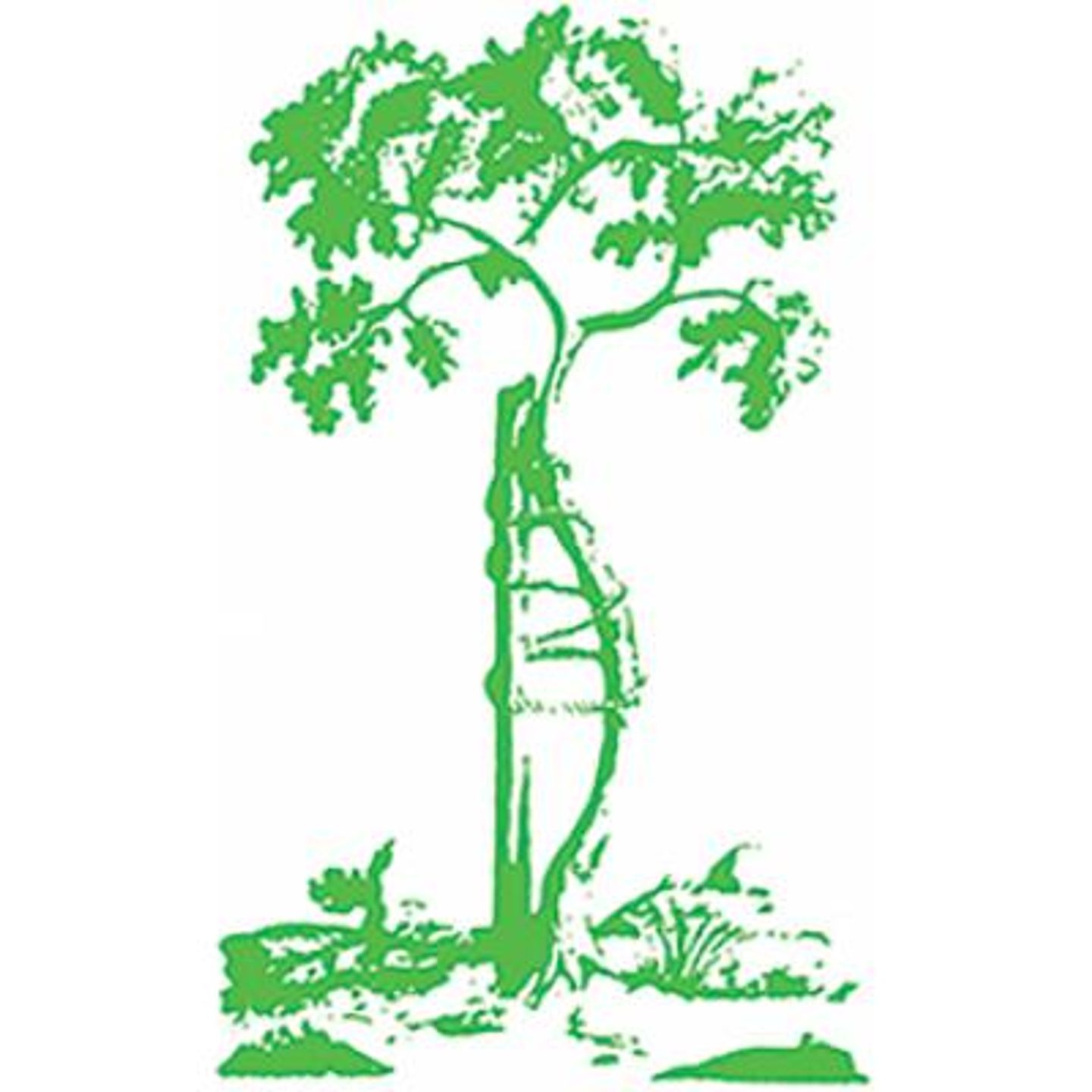 Logo der Firma Orthopädie- und Rehatechnik GmbH Karsten Mandau aus Mülheim