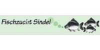 Logo der Firma Sindel GmbH & Co. KG aus Feuchtwangen