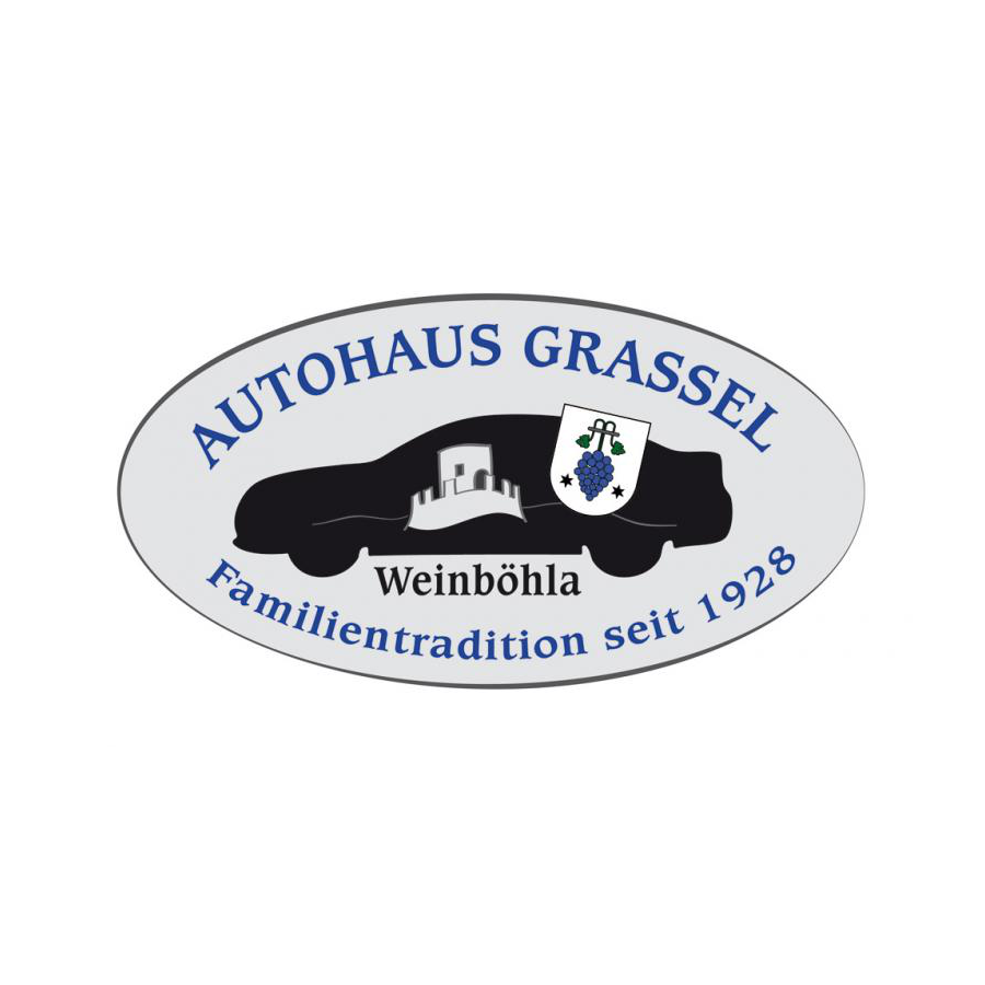 Logo der Firma Autohaus Frank Grassel aus Weinböhla