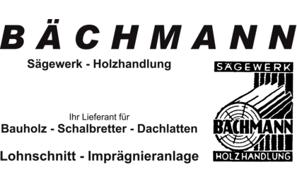 Logo der Firma Jürgen Bächmann Sägewerk und Holzhandlung aus Heiligenstadt