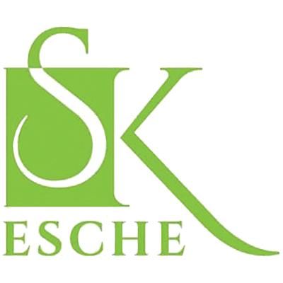 Logo der Firma Steuerberaterin Katrin Esche aus Plauen