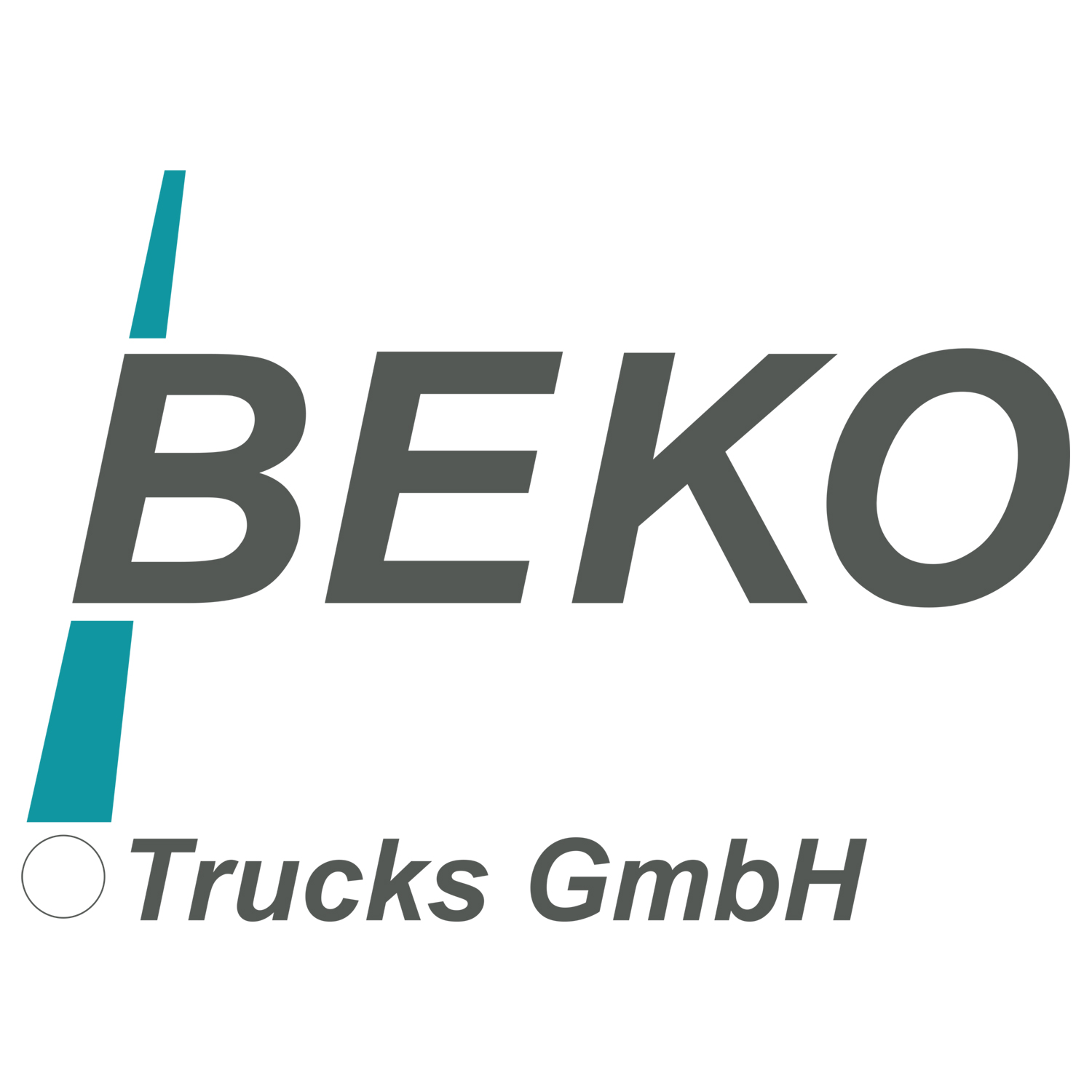 Logo der Firma Beko Trucks GmbH aus Vaihingen an der Enz