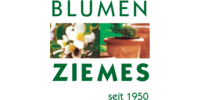 Logo der Firma Blumen Ziemes aus Krefeld