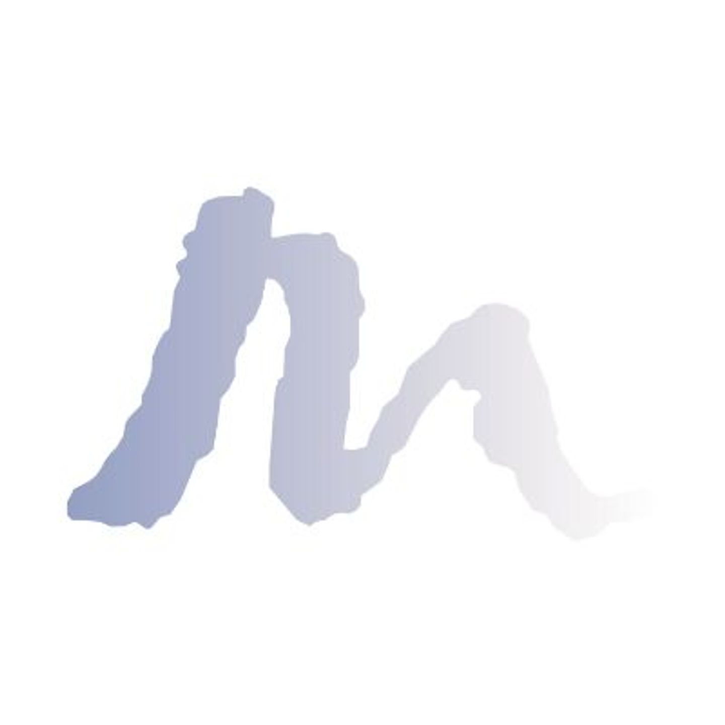 Logo der Firma Steuerberater Heinzpeter Meisenzahl aus Traunstein