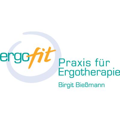 Logo der Firma Praxis für Ergotherapie Birgit Bießmann aus Nürnberg