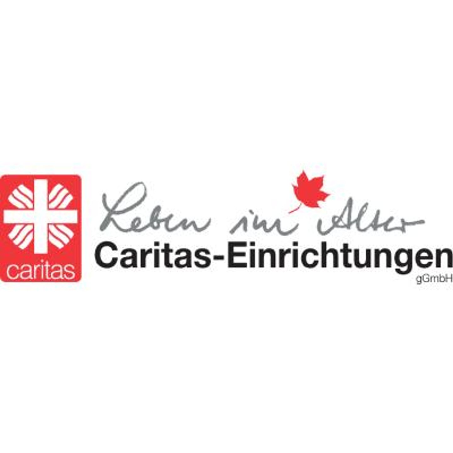 Logo der Firma Caritas-Einrichtungen gGmbH aus Würzburg