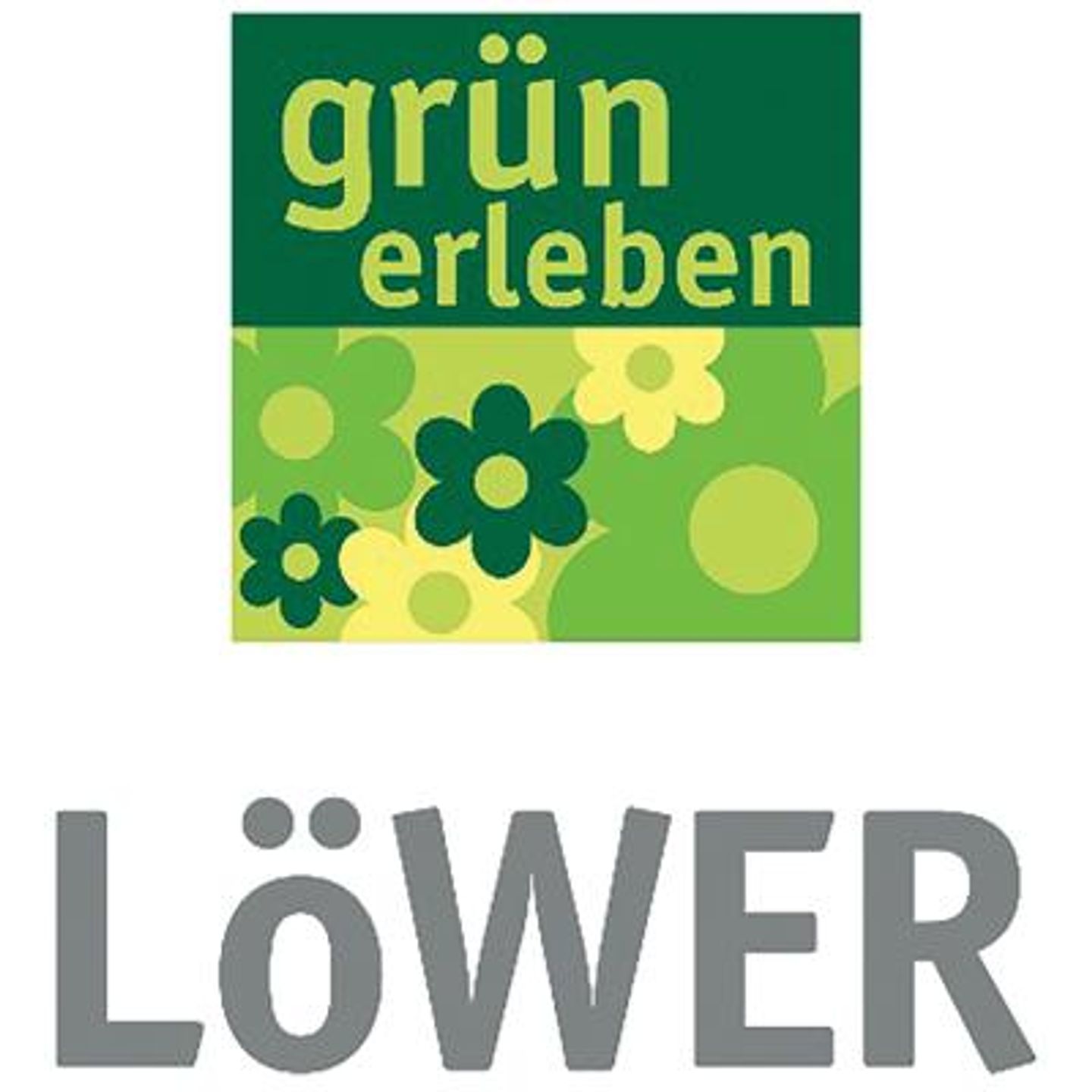 Logo der Firma Löwer grün erleben aus Goldbach