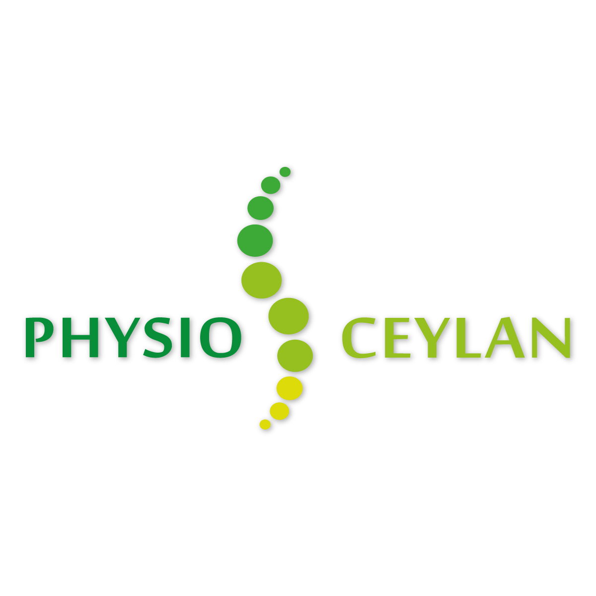 Logo der Firma Praxis für Physiotherapie & Massage Ceylan aus Heilbronn