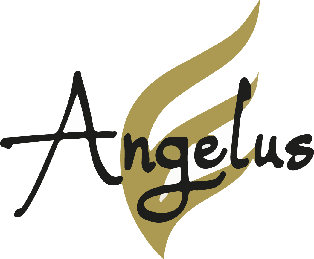 Logo der Firma Angelus Management Beratungs und Service KG aus München