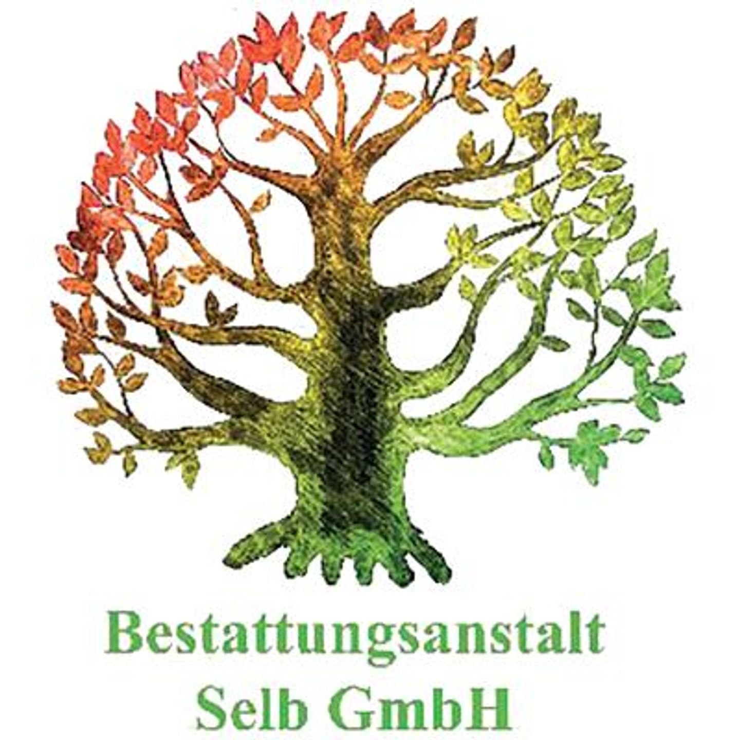 Logo der Firma Bestattungsanstalt Selb GmbH aus Selb