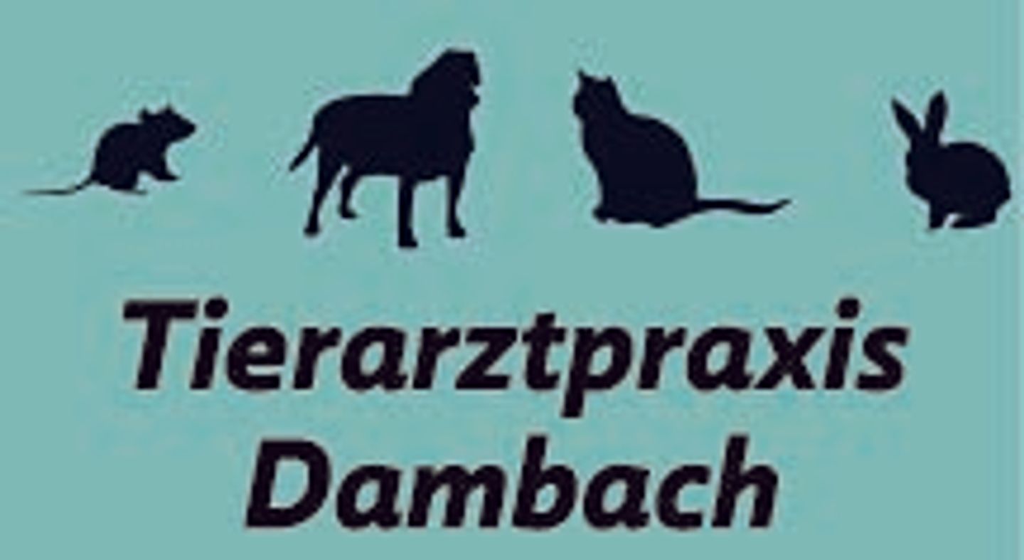 Logo der Firma Benjamin Windt aus Fürth