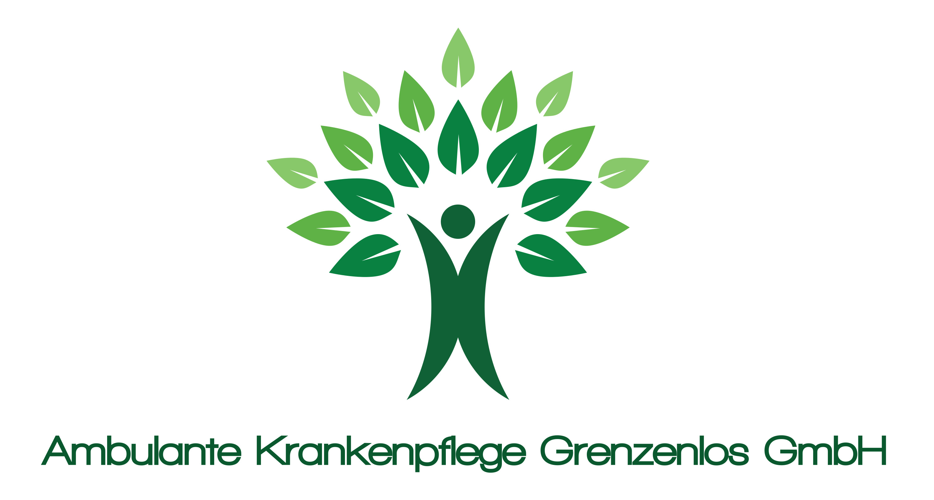 Logo der Firma Ambulante Krankenpflege Grenzenlos GmbH aus Salzgitter