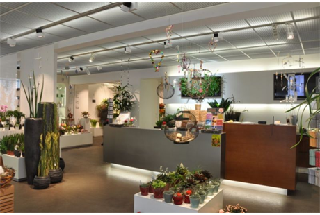 Beispielarbeit von Blumen Speth - veröffentlicht auf Gartenbau.org
