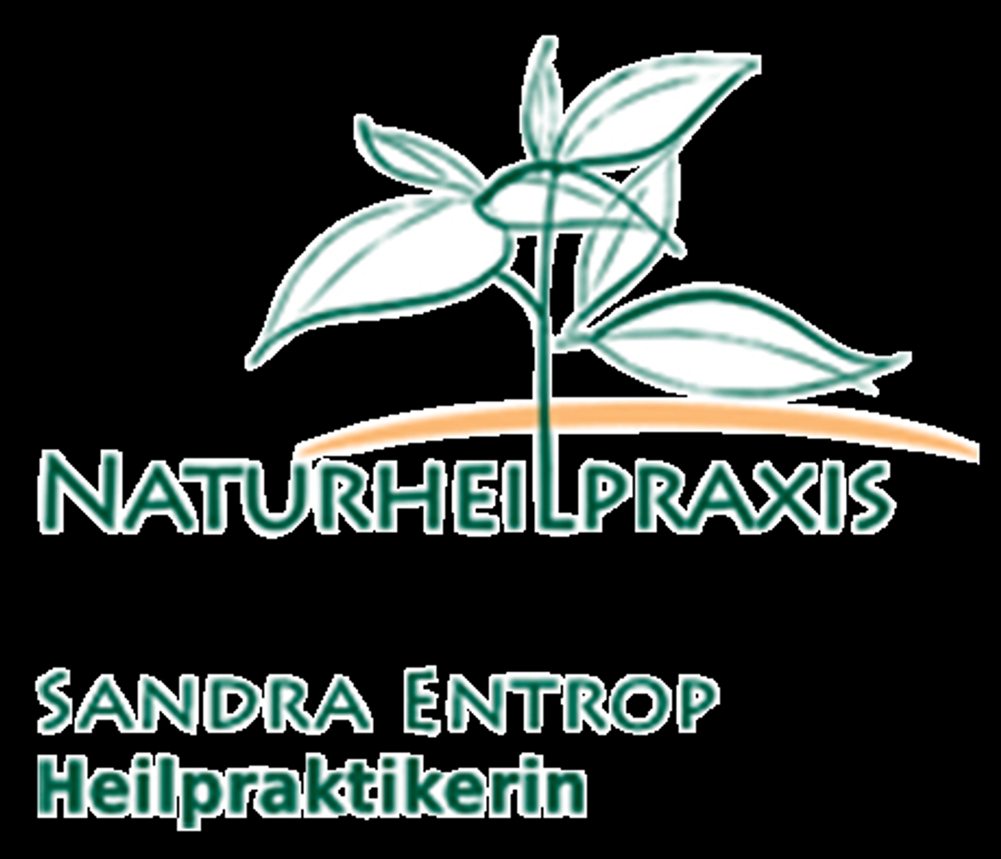 Logo der Firma Sandra Entrop Heilpraktikerin aus Bayreuth