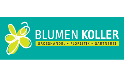 Logo der Firma Koller GmbH aus Fürstenstein
