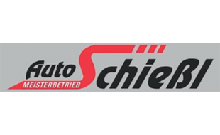 Logo der Firma Auto Schießl aus Cham