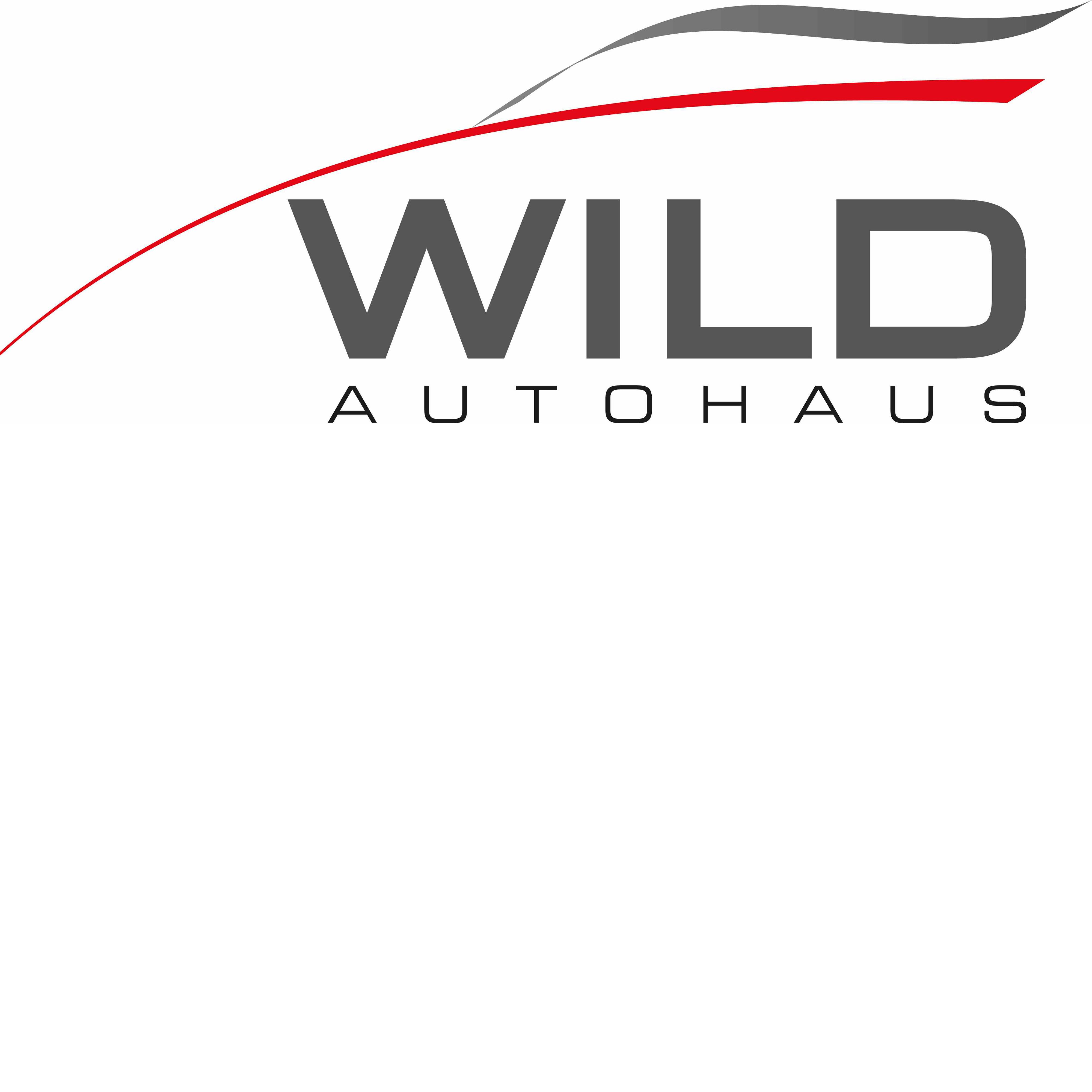 Logo der Firma Autohaus Wild GmbH aus Bühl