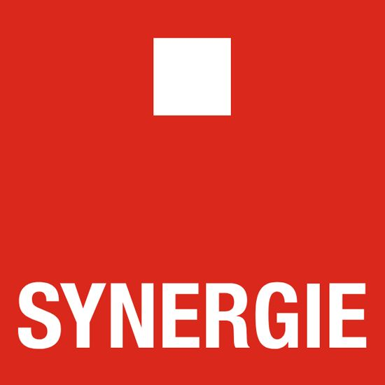 Logo der Firma Synergie Personal aus Bonn