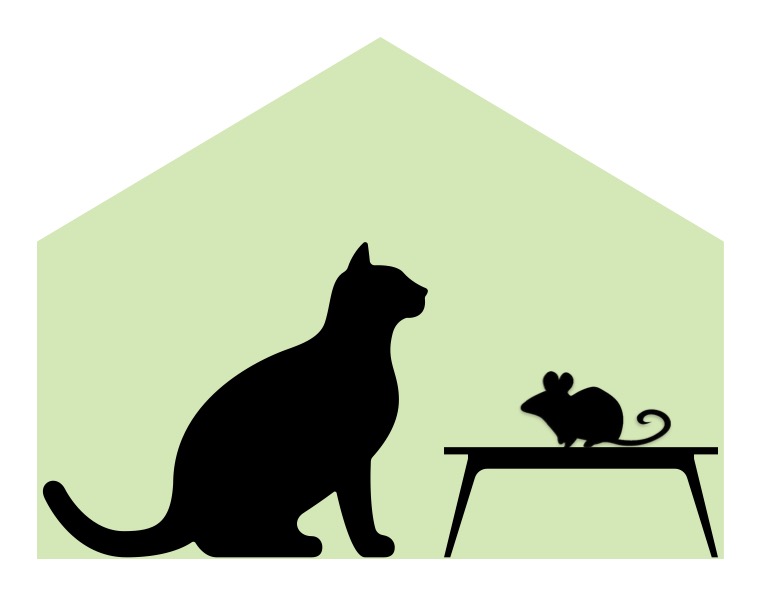 Logo der Firma Haus-Katze-Maus aus Königswinter