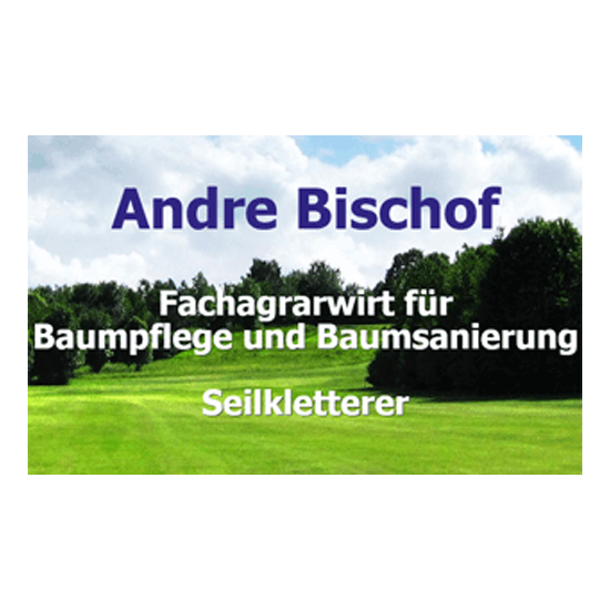 Logo der Firma Bischof Andre Seilkletterer aus Wiefelstede