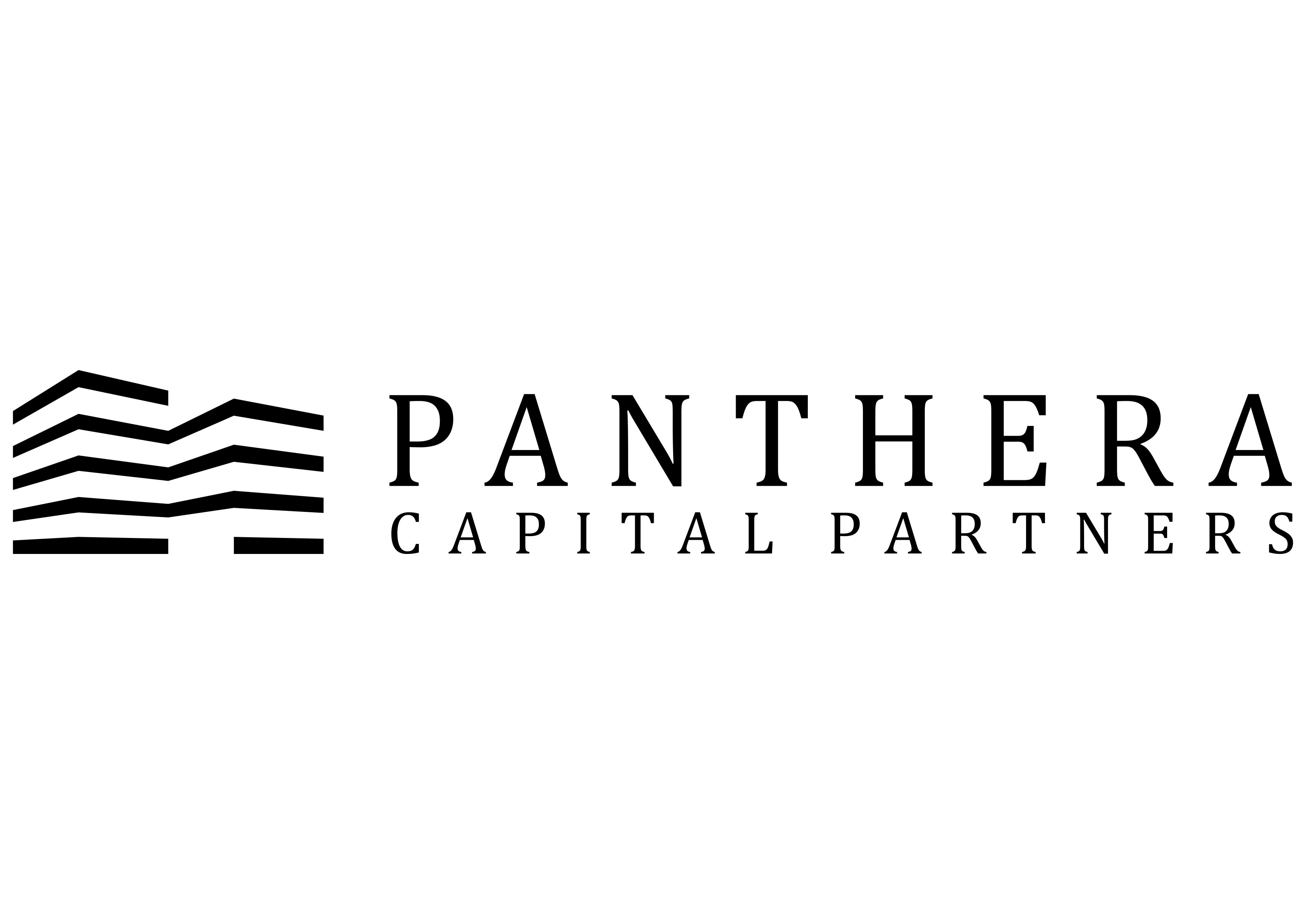 Logo der Firma Panthera Capital Partners GmbH&Co.KG aus Bonn