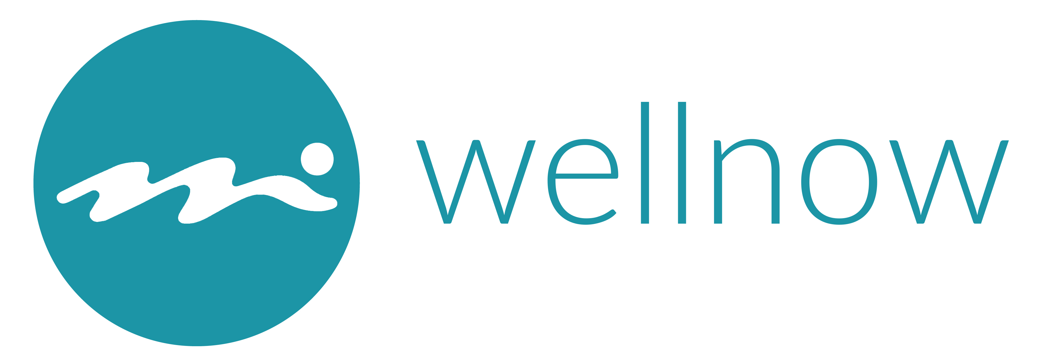 Logo der Firma Wellnow Group GmbH aus Berlin