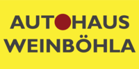 Logo der Firma Fiat Autohaus Weinböhla e.K. aus Weinböhla