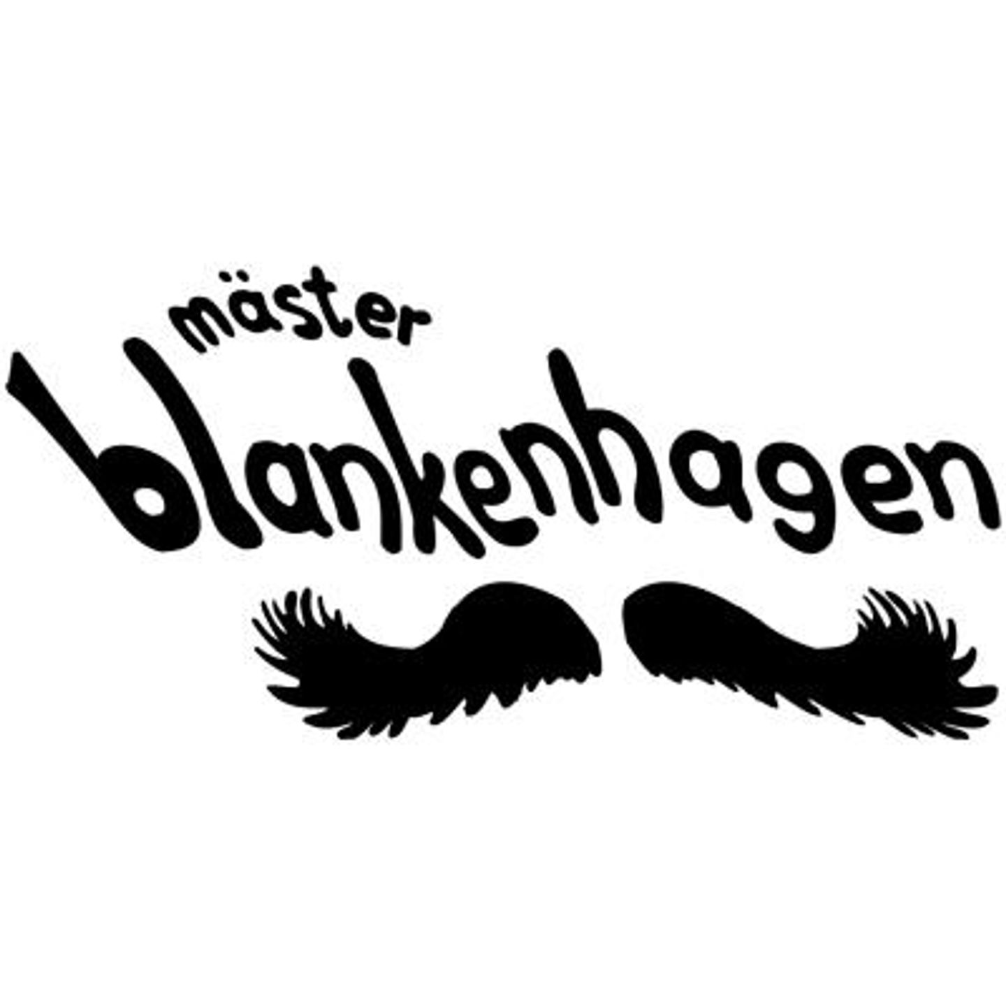 Logo der Firma Frisörteam Mäster Blankenhagen aus Würzburg