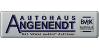 Logo der Firma Autohaus Angenendt aus Geldern