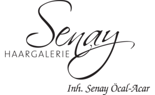 Logo der Firma Haargalerie Senay aus Kulmbach